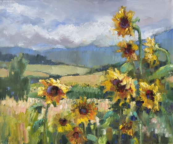 landscape of a field with sunflowers