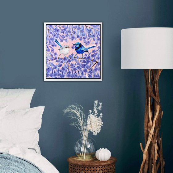 Blue Wrens in Jacaranda