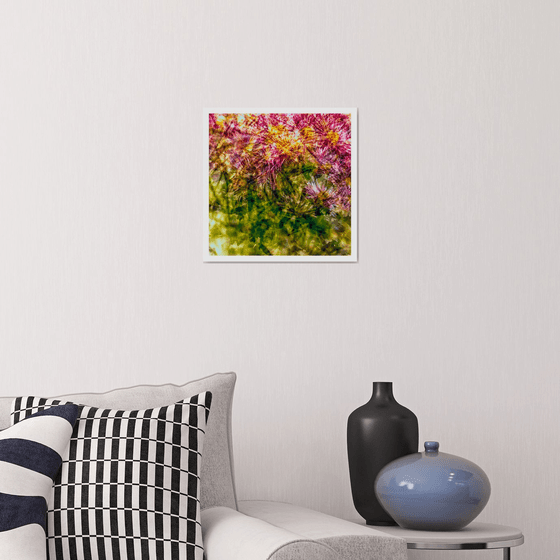 Abstract Flowers #7. Limited Edition 1/25 12x12 inch Photographic Print.