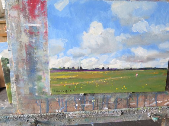 Summer Meadow