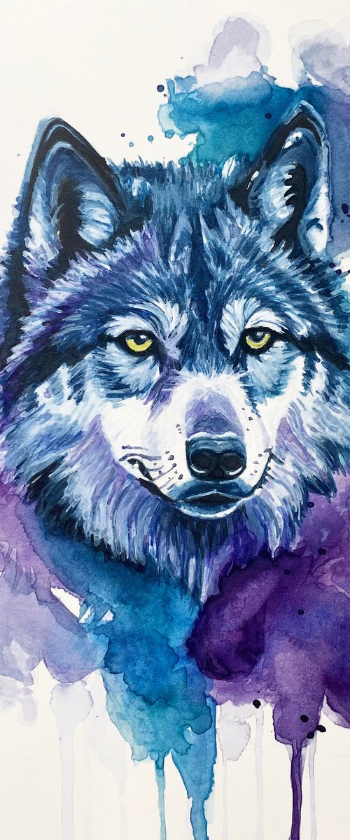 Colourful Wolf Painting by Sandy Broenimann