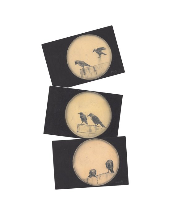 Indian House Crows Postcards