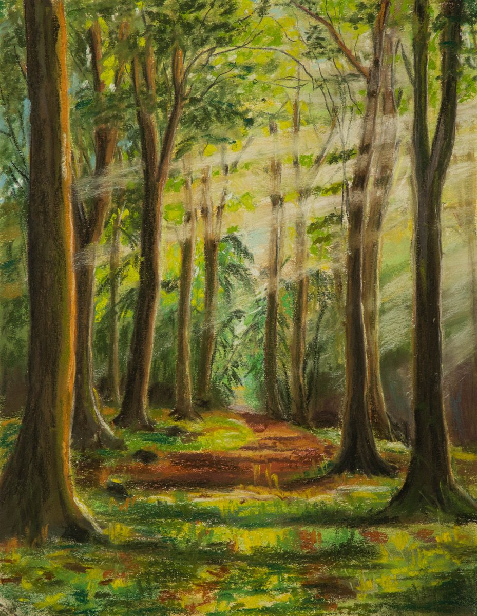 The forest by Catherine Varadi