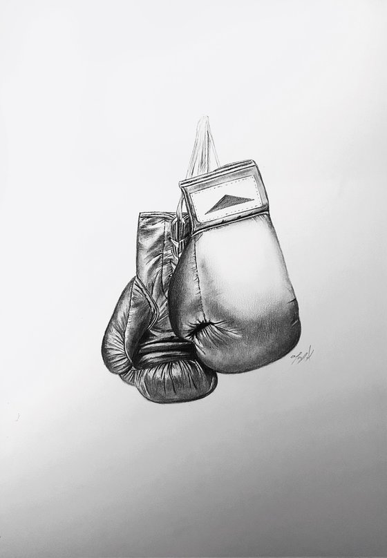 Boxing gloves