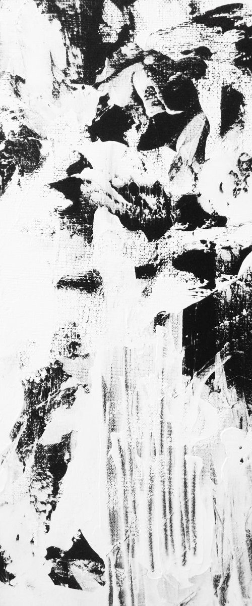 Black and White Forest by Corinne Natel
