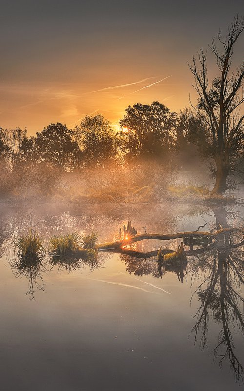 Autumn morning in lowlands by Kucera Martin