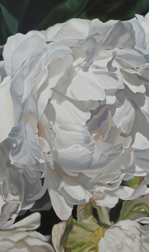 Peony painting by Simona Tsvetkova