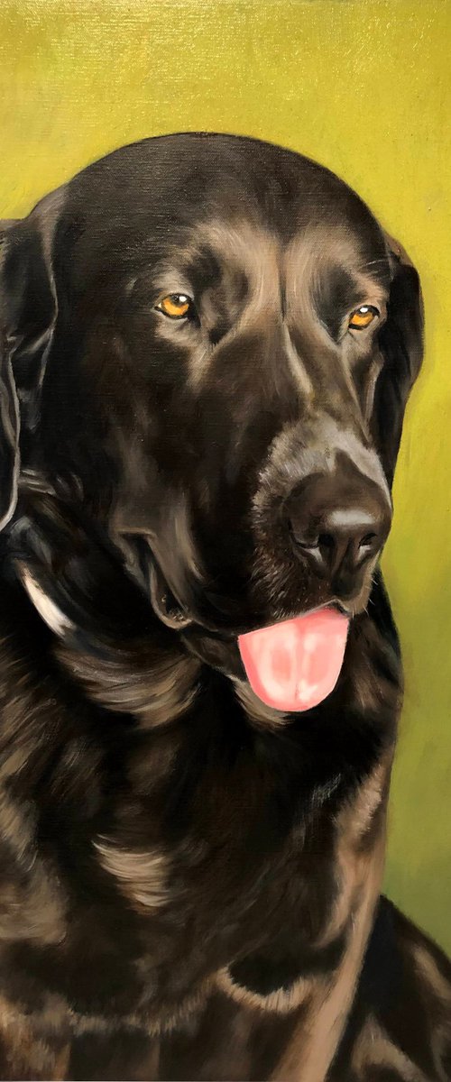 Original Hand-Painted Dog Commission by Angelo Di Carlo