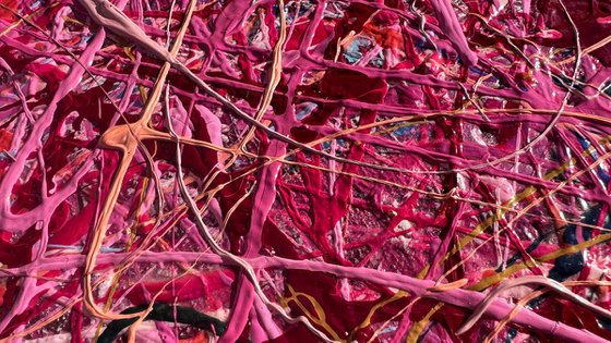 A Better Place of Dreams