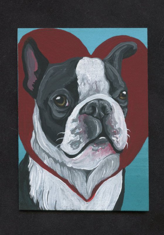 ACEO ATC Original Painting Valentine Boston Terrier Dog Art-Carla Smale