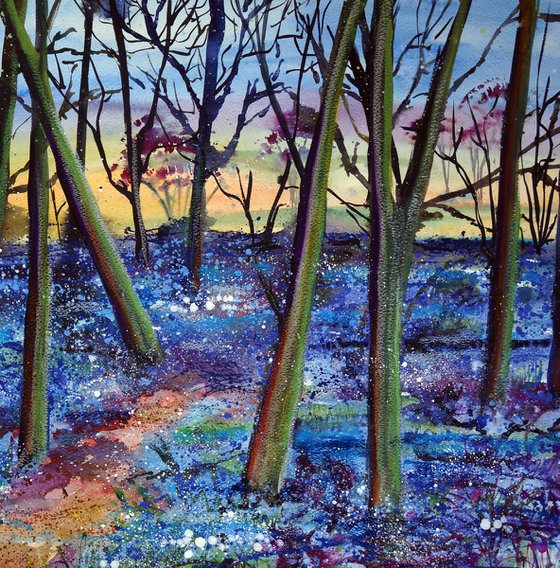 Hertfordshire Bluebells