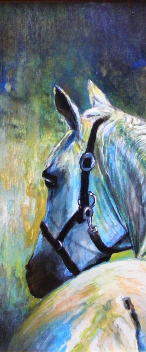 "Portrait of white stallion" by Ivan  Grozdanovski