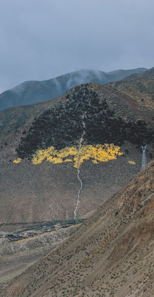 The World Tree Within the Mountain by YIBO WANG
