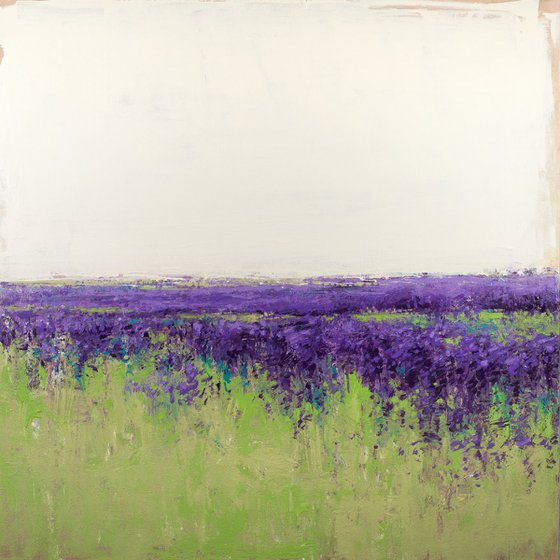 Lavender Field