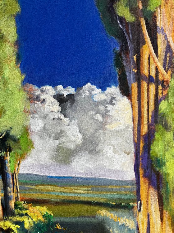 Montalcino 4