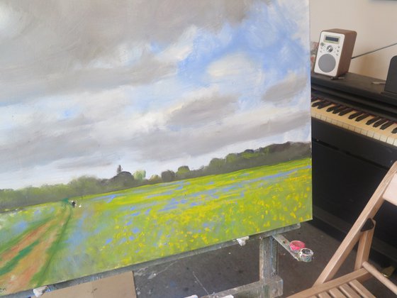 Water Meadow, May 23