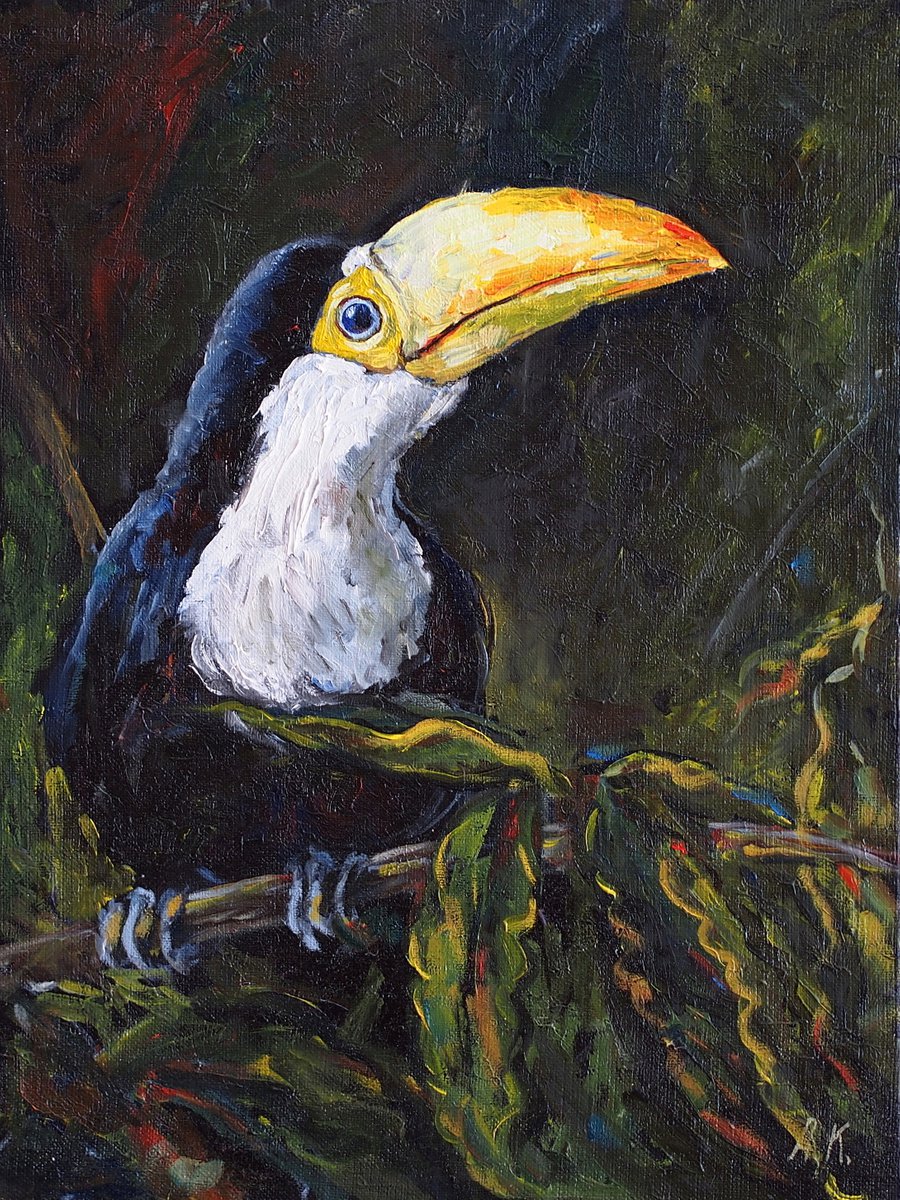 Young Toucan by Alfia Koral