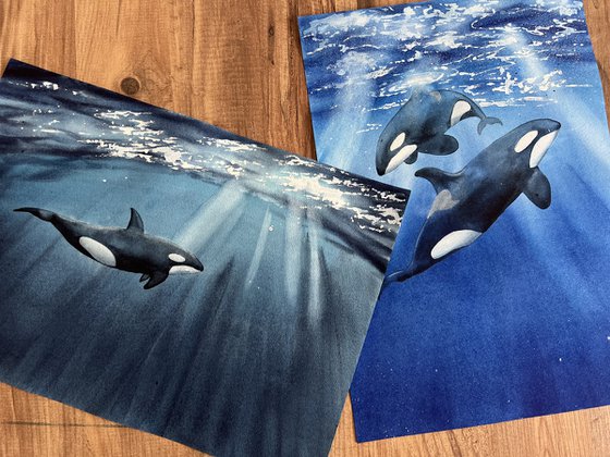 Set of two paintings. Killer whales underwater. Original watercolor artworks.