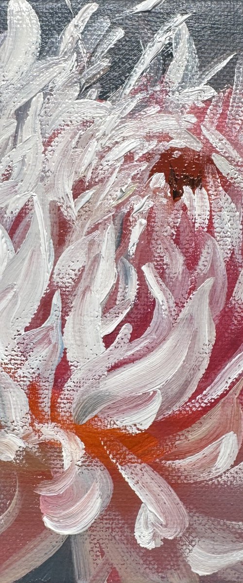 hedgehog by Olena Hromova