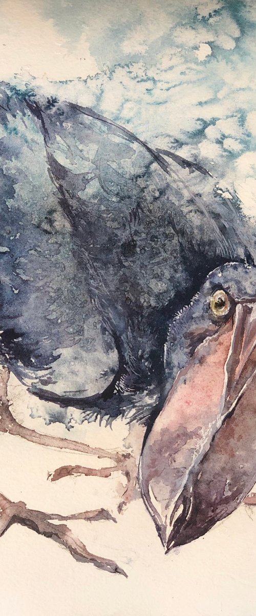Shoebill by Larissa Rogacheva