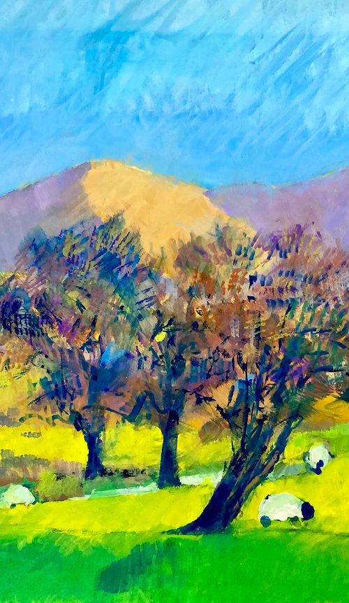 Sheep under trees by Stuart Roper