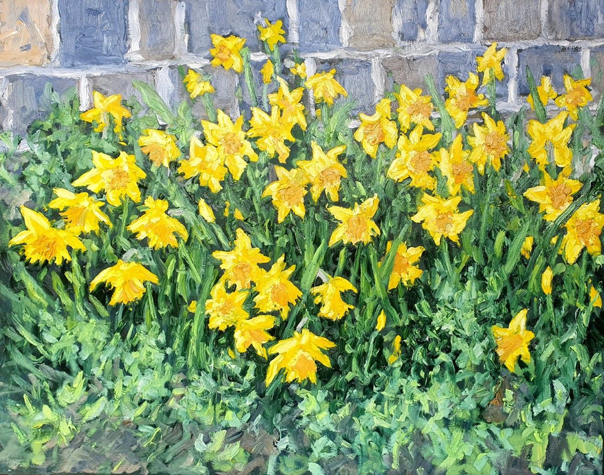 Botanical Oil Painting By Colin Ross Jack, 30 X 24, The Daffodils, Original Artwork