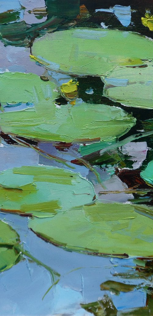 " water lilies  " by Yehor Dulin