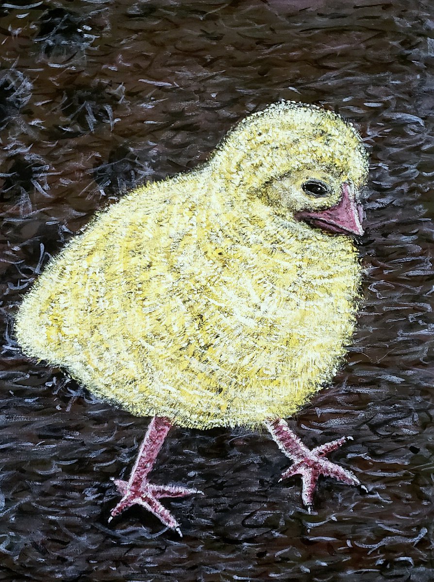 Baby Chick by Robbie Potter