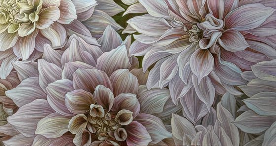 Blush Dahlia Garden