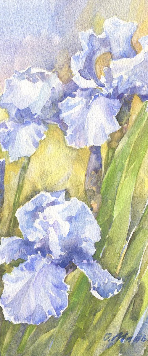 Blue irises / Iris painting Floral watercolor Sky blue flowers by Olha Malko