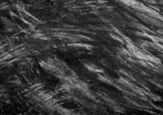 River Flow Patterns
