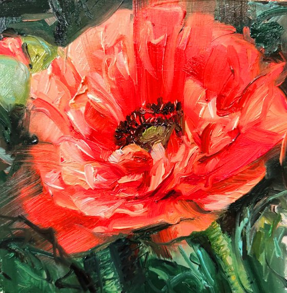 Poppy small painting original, Red flowers oil painting framed, Small floral wall art 4x4 in frame