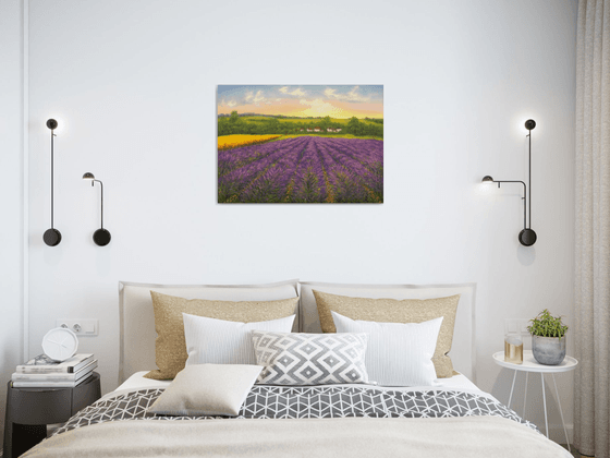 Sunset at lavender field in Provence
