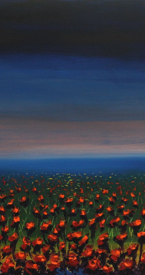 Poppy Field by Serguei Borodouline