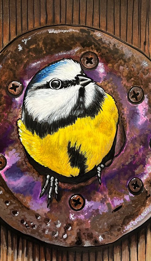 Birdhouse bluetit by Karen Elaine  Evans