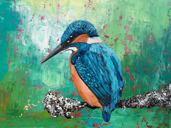 Kingfisher by the River