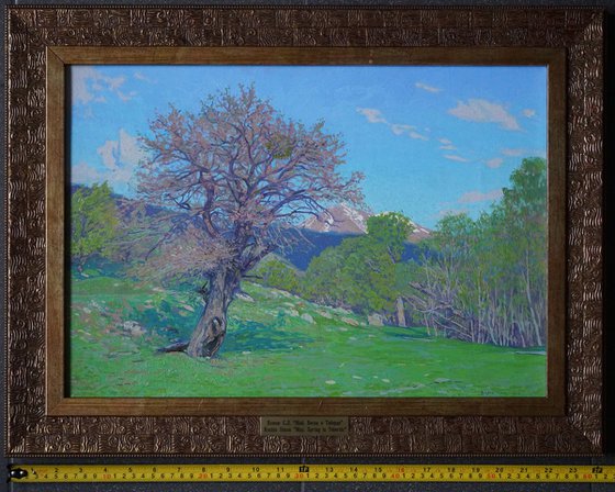 May. Spring in Teberda