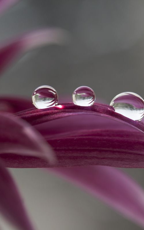 Reflection in drops by Sonja  Čvorović