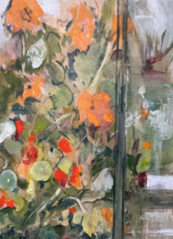 December Nasturtiums