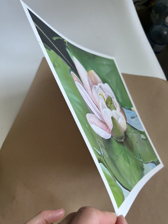 Frog and lotus