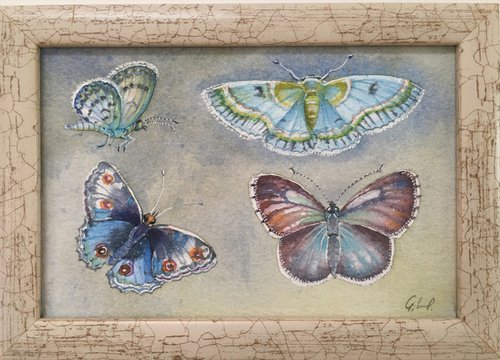 Blue butterflies by Gintarė Petrauskienė
