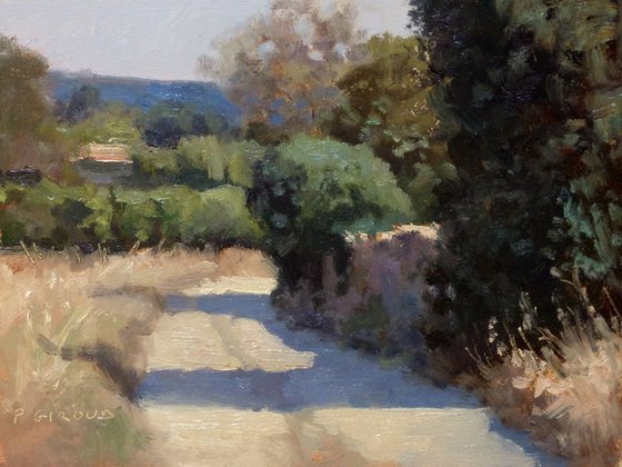 Path near Bedoin