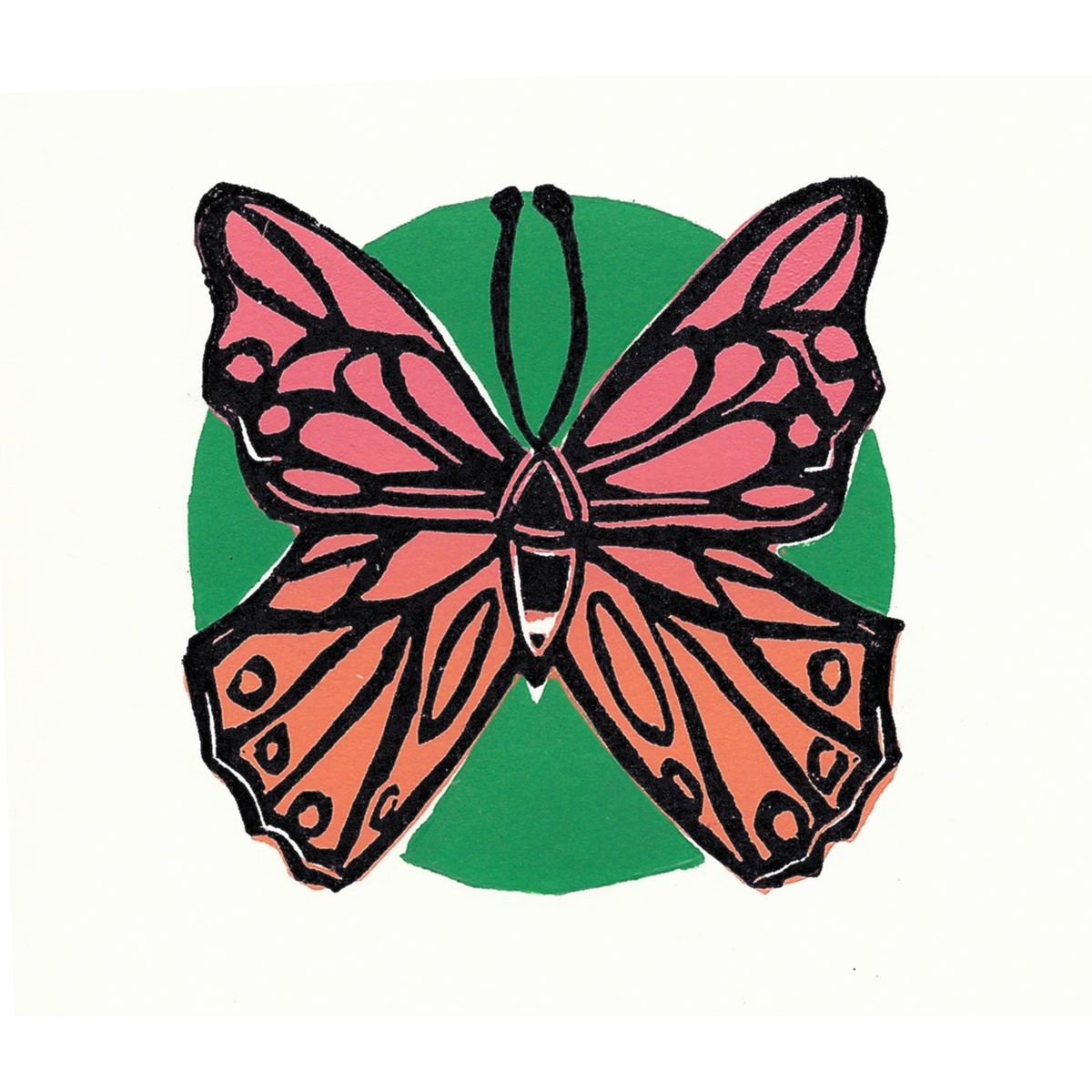 Pink and Orange Butterfly by Kirstie Dedman