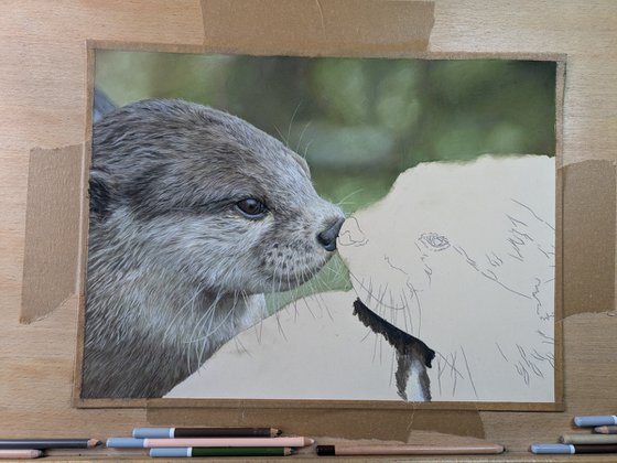 The Otter half