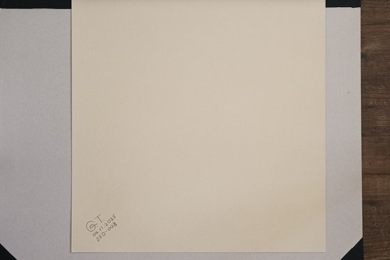 Duality. Impulsiveness - Prudence