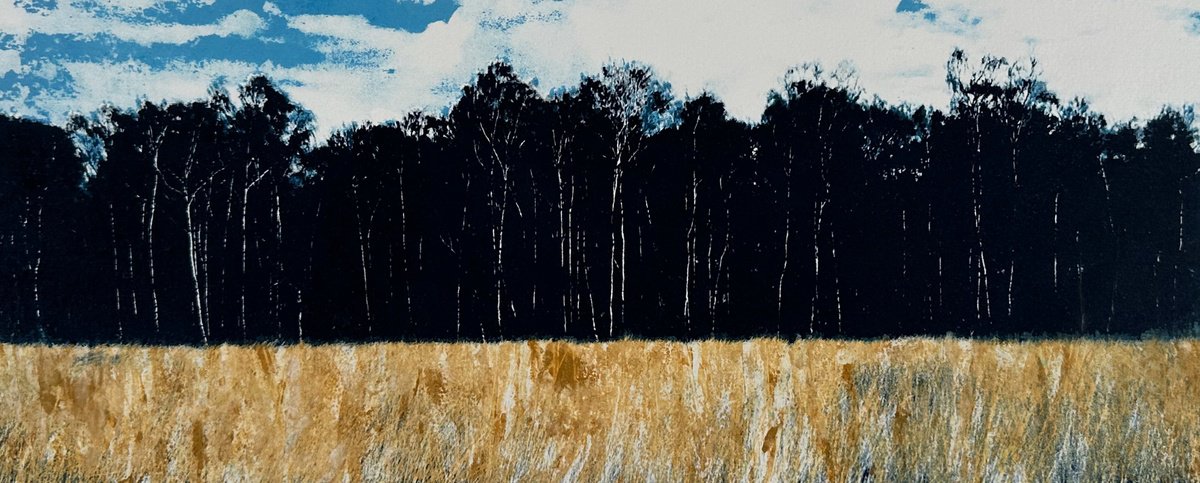 Limited Edition Print , Pond Slade, Richmond Park By Diane Mclellan, 20 X 10, Artwork For Sale On Artfinder