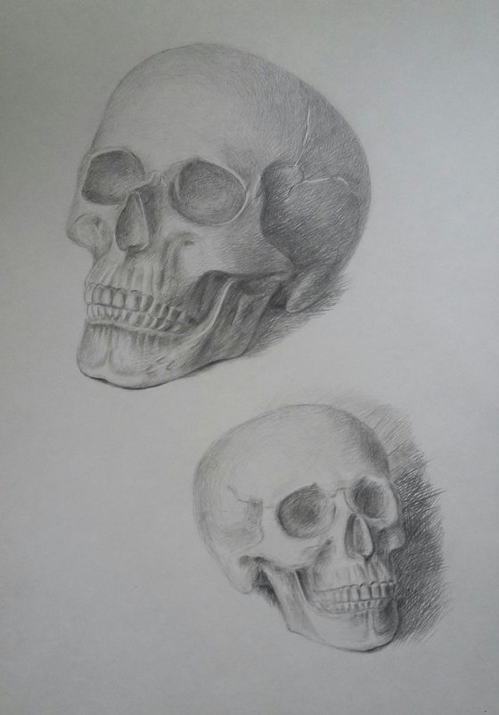 Skull. Portrait "On the left and right"