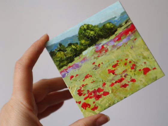 Poppy Fields Set