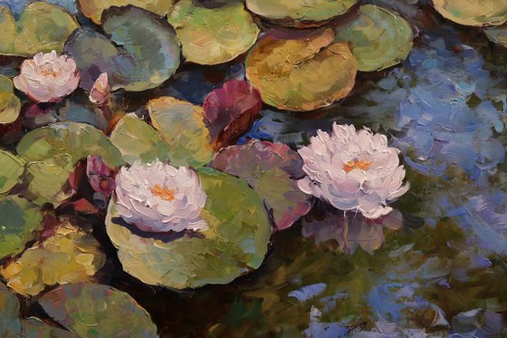 "Water Lily Symphony"