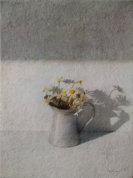 Daisies in the Morning Light